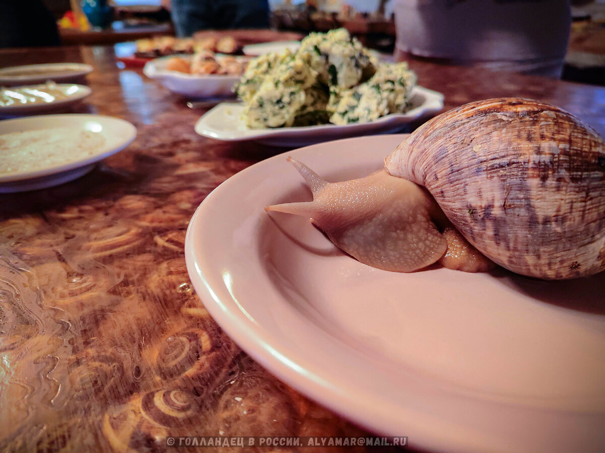 Эта улитка не для еды, а для фотографий. Фото: из личного архива