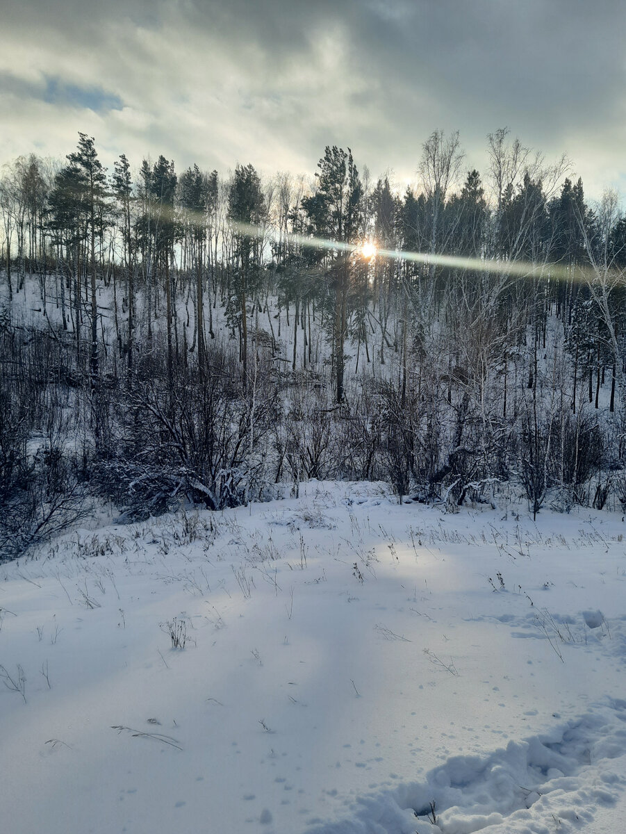 Фото автора.Волшебное Рождество.
