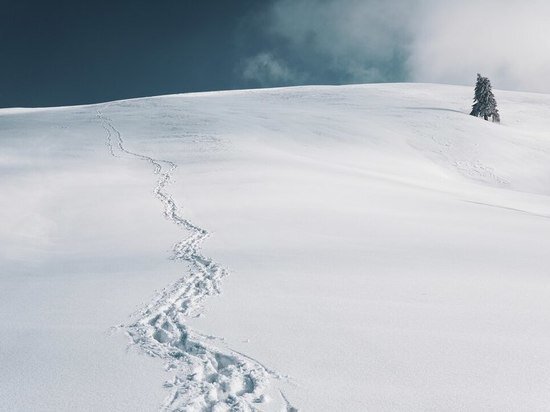     Фото: ru.freepik.com