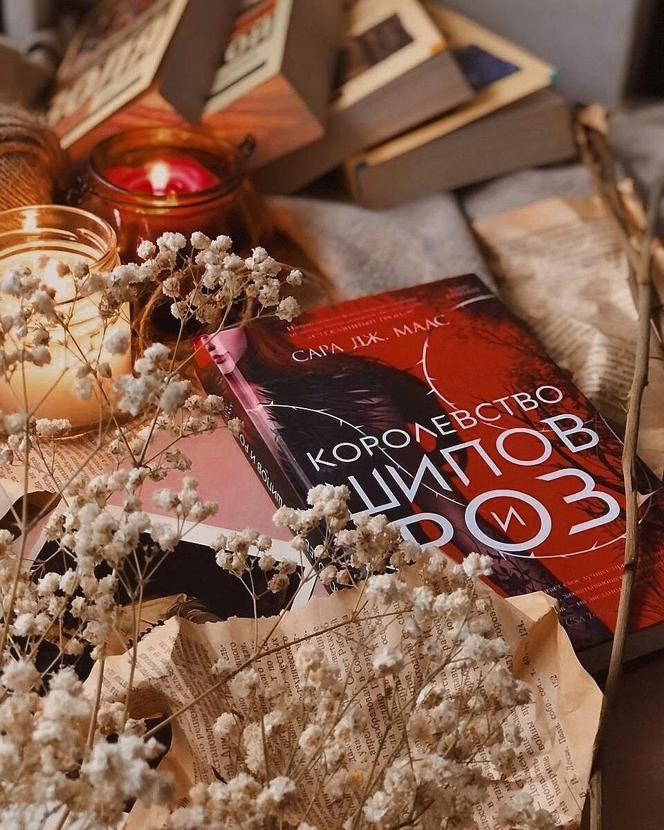 Книга Сары Маас "Королевство шипов и роз"