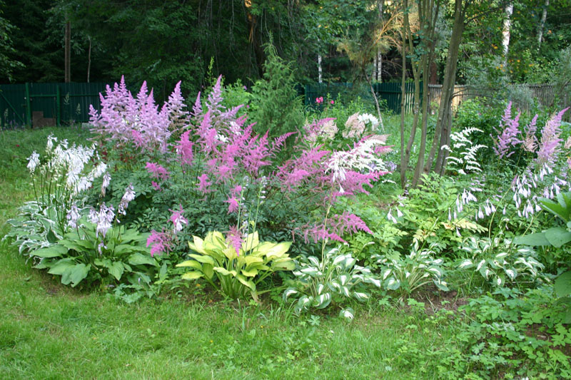 Красивый сад своими руками: подбор растений и аксессуаров