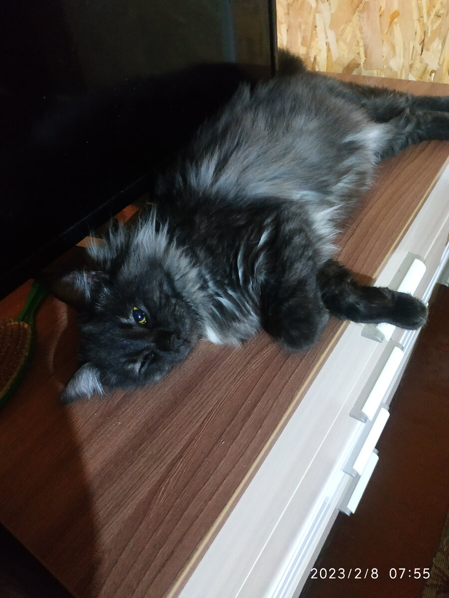 Я не сплю, слежу за тобой)))))