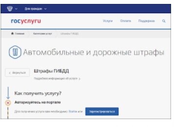 фото из интернета