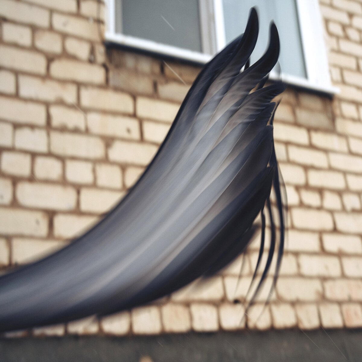 На фотографии выше одно из самых необычных проявлений этого эффекта в моей практике. Фото автора на Sony a7 III. От улетевшего голубя осталась только часть его крыла.	А ведь снимал я, на минуточку, с короткой выдержкой в 1/1000!