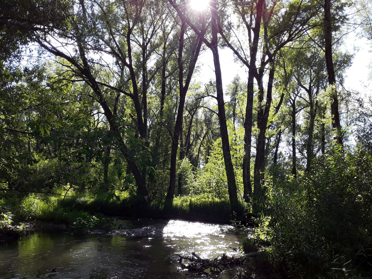 Вечерняя речка. Фото из личного архива.
