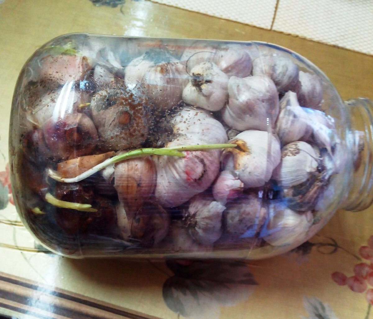 Чеснок заплесневел и начал прорастать.