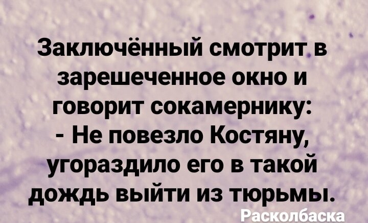 Ведут мужика в камеру Вдруг встречает он только что овободившегося