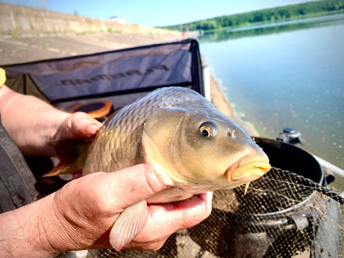 фото: Максим Бочаров