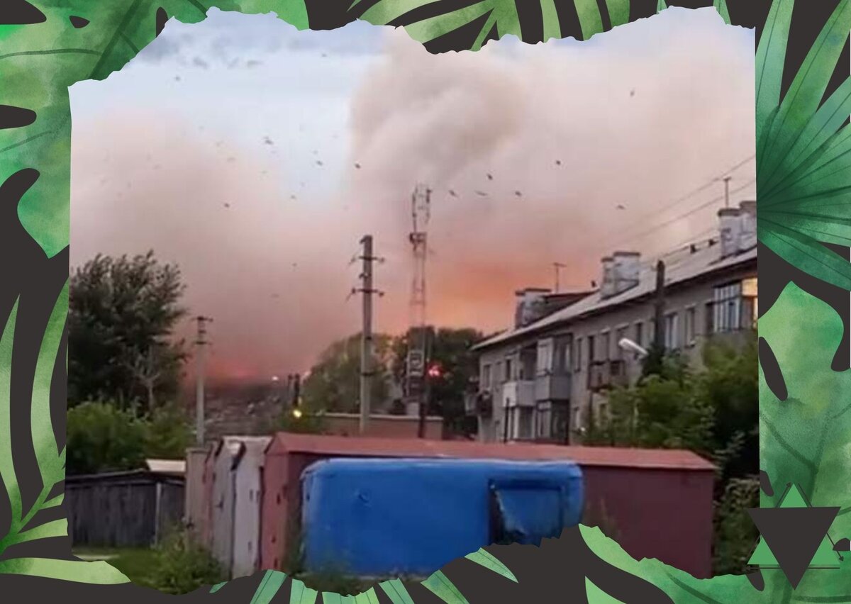 Фотки того, как горит свалка на левом берегу Новосибирска. Самое страшное, что она находится в пешей доступности от домов. 