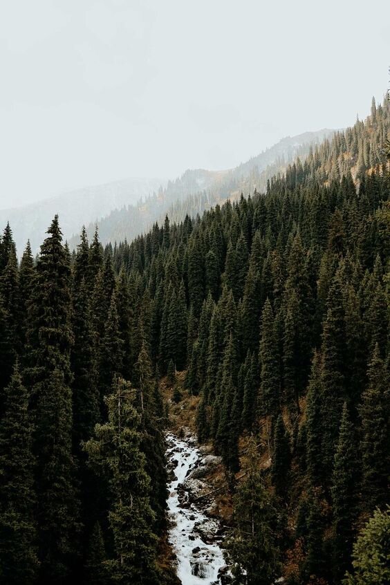 pinterest.ru