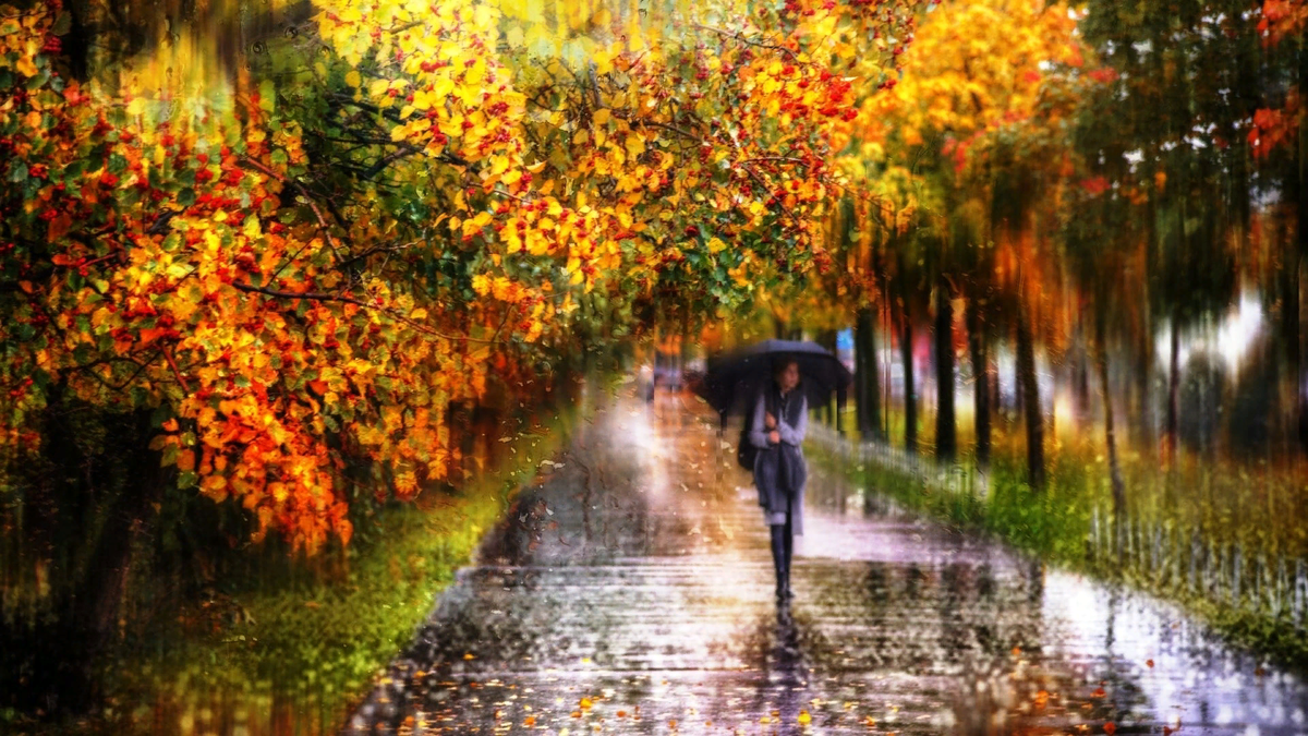 Изображение скопировано из интернета: Яндекс.Картинки