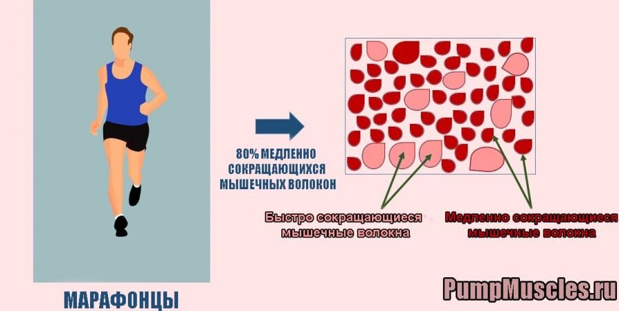 Особенности тренинга