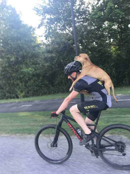 Adventures of Columbus – Facebook