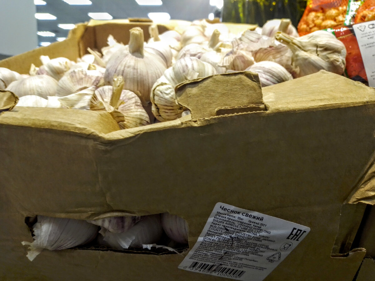 Магнит, чеснок в ящике, 21 октября 2021