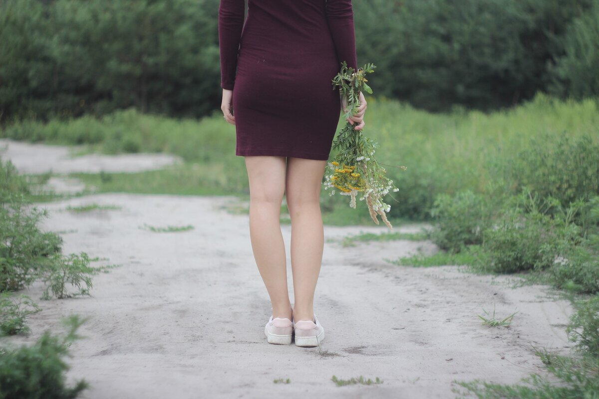 Фото: https://pixabay.com/