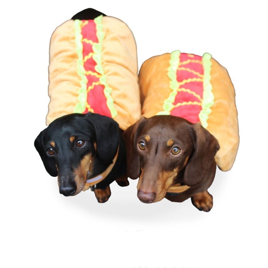 Hot Dog такса