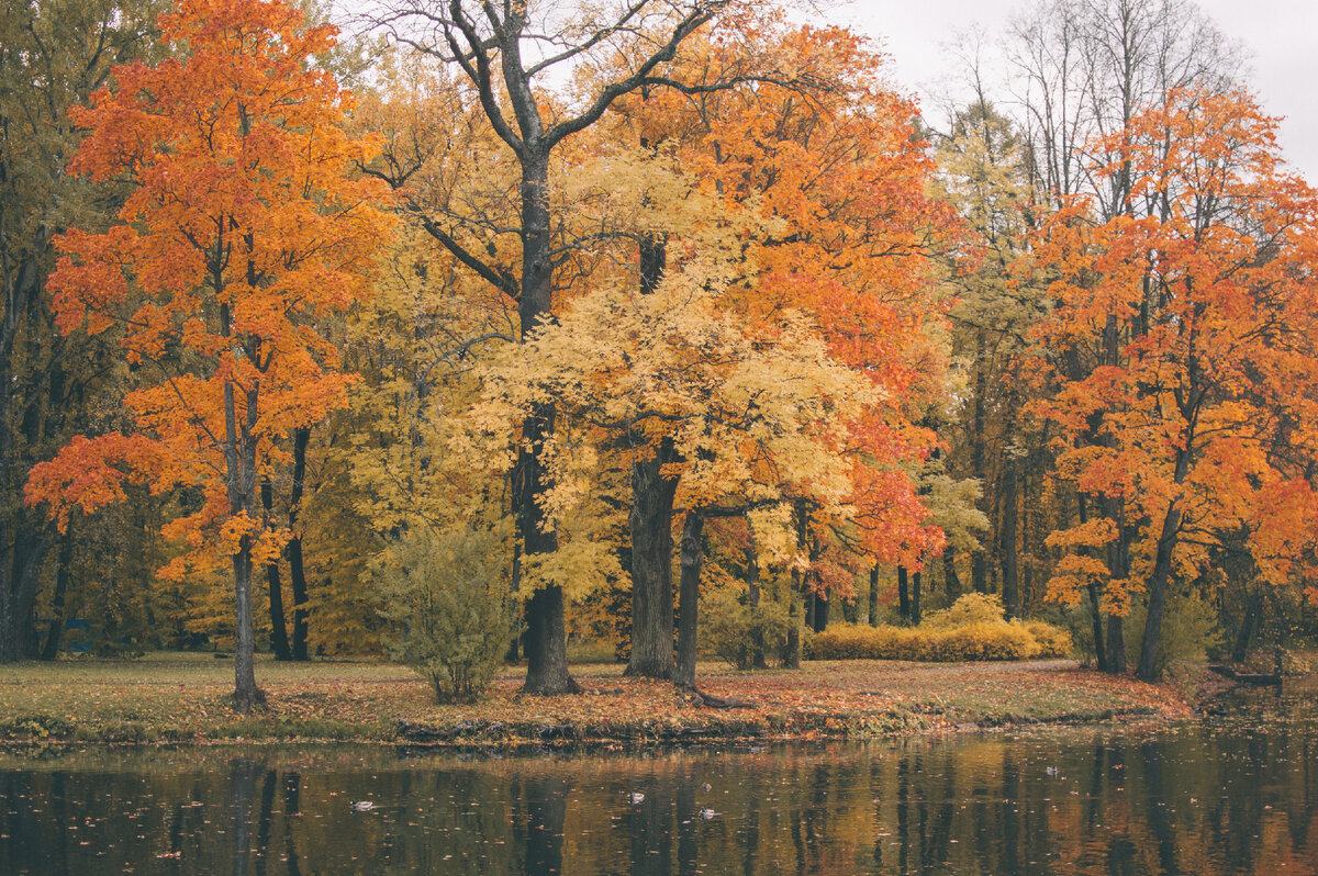 Осенняя идиллия