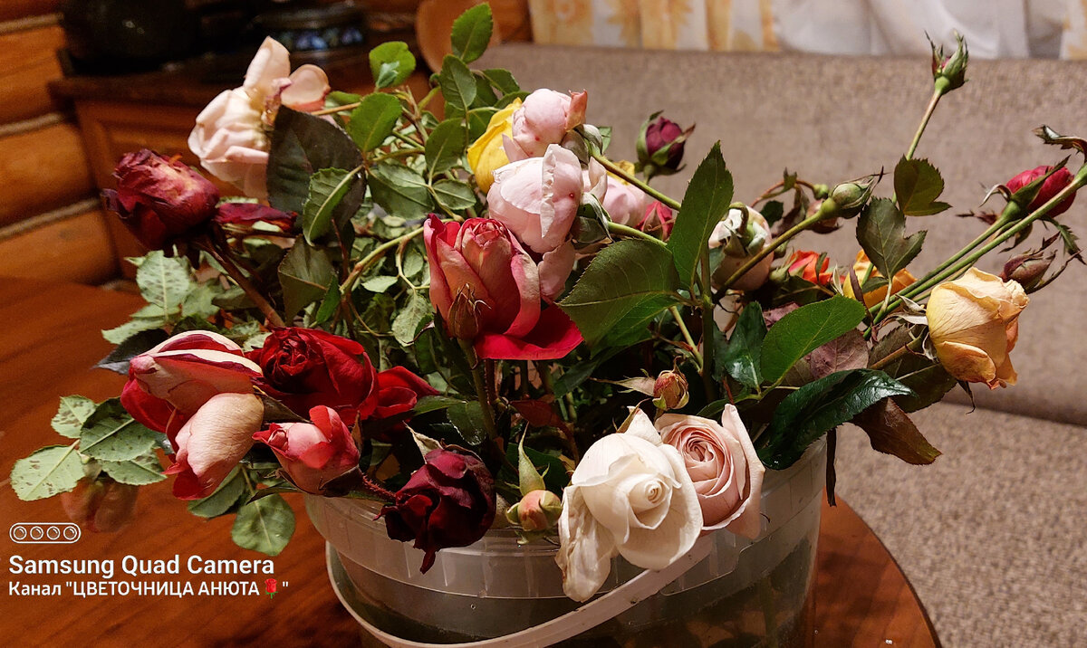 Вот такой "никакой" завершающий букет сезона 2021 г. Но параду ваших букетов все равно быть 1 декабря 😉