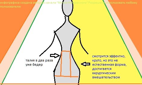 Инфографика разработана автором канала "Много Интересного". Даю согласие на использование изображения любому пользователю.