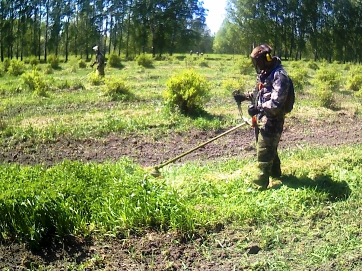 Покос трав в садовом хозяйстве под Новосибирском