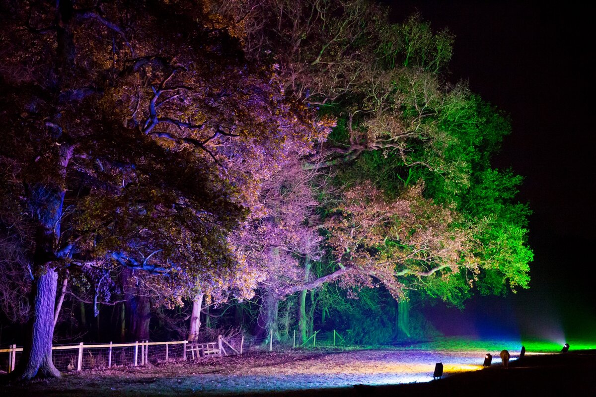 Автор фото - Petr Kratochvil. Фотография взята из открытого источника "Яндекс.Картинки".