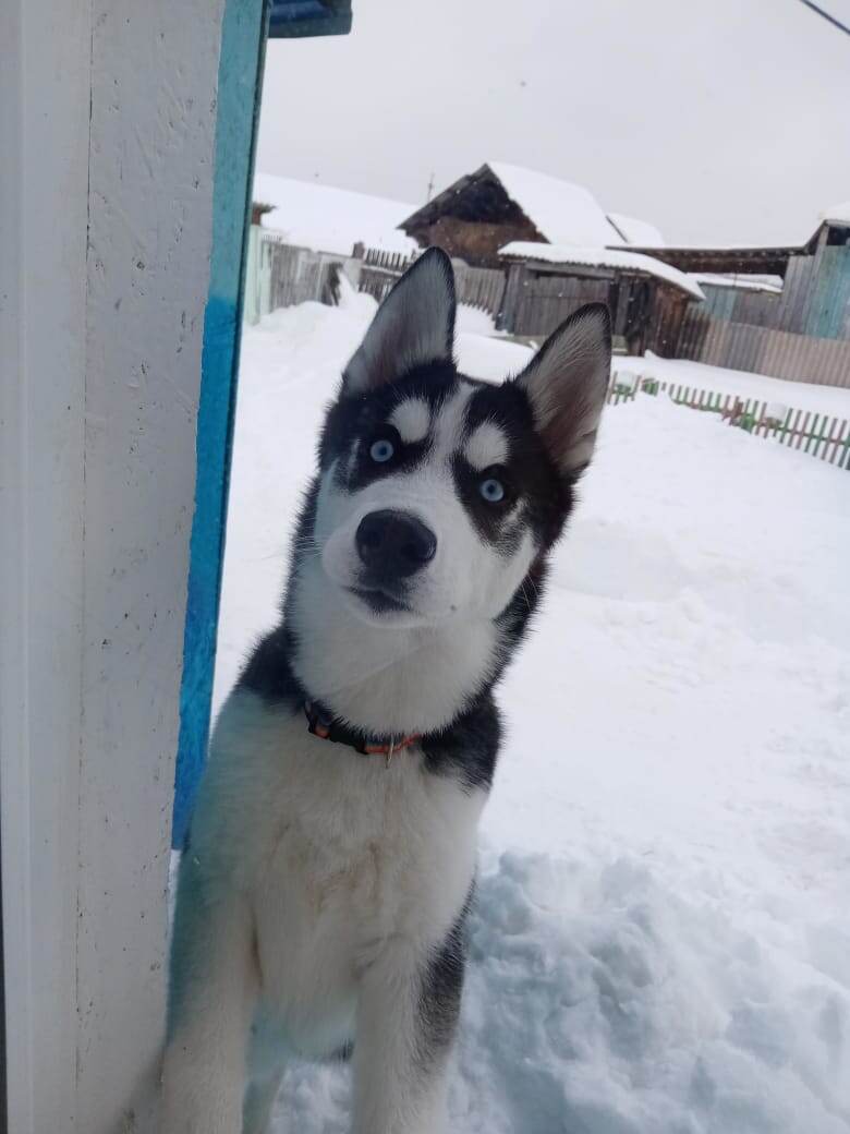 Впустите меня пожалуйста 😄