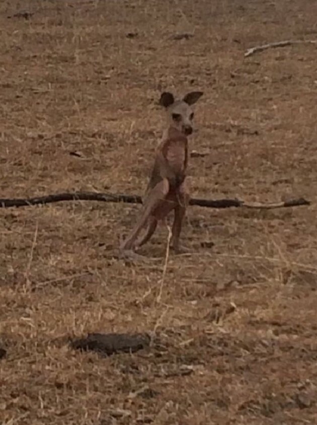 наш подарочек на рождество материал с моего аккаунта @katesydney88