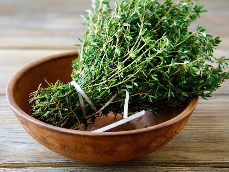 Тимьян - не только ароматная приправа, но и лекарство от простуды, воспалений и головной боли 