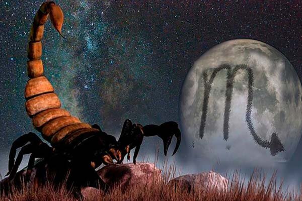 Изображение из интернета. 