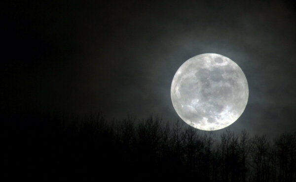 фото "яндекс-картинки"