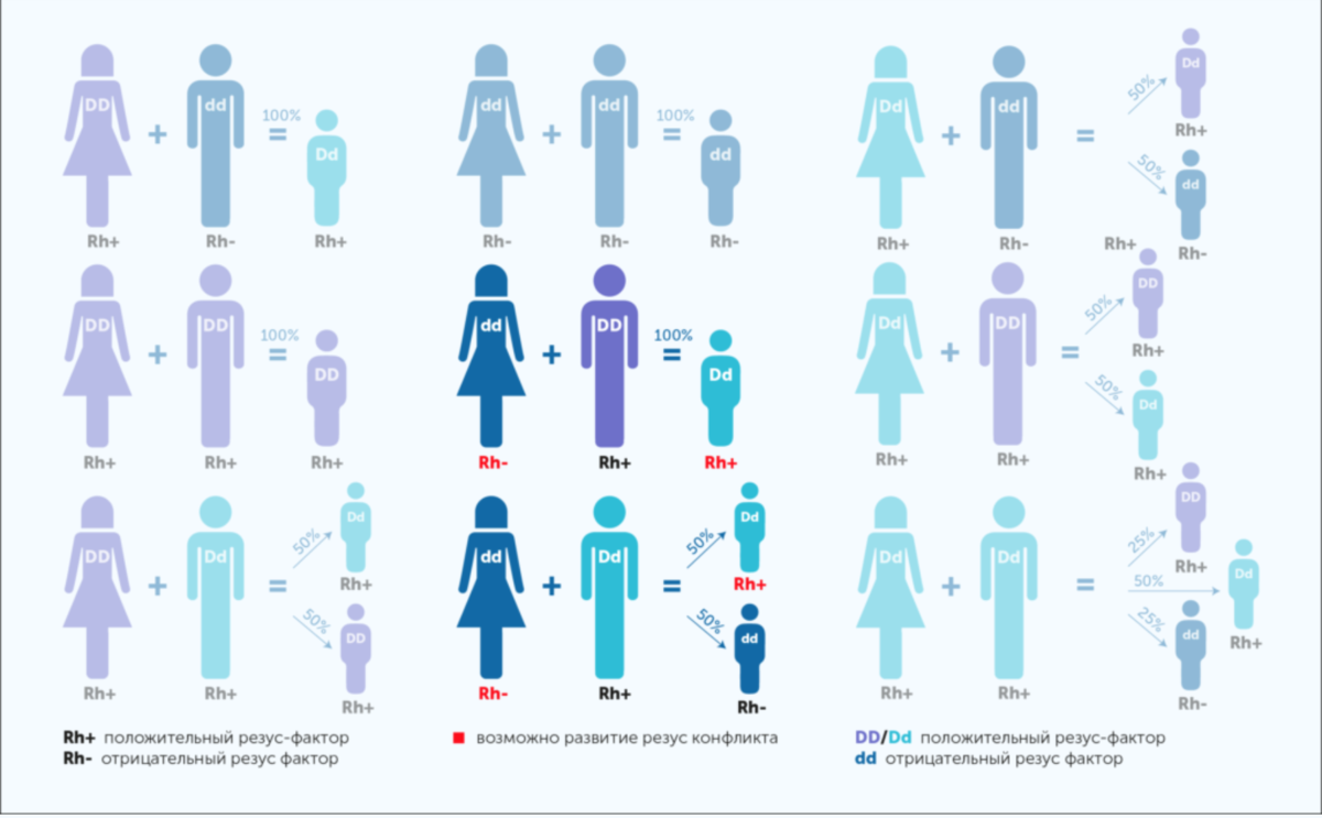 Наследование группы и резус крови резус-фактора. Резус фактор схема наследования. Таблица наследования резус фактора крови. Схема наследования групп крови и резус фактора. Муж первая положительная жена первая положительная