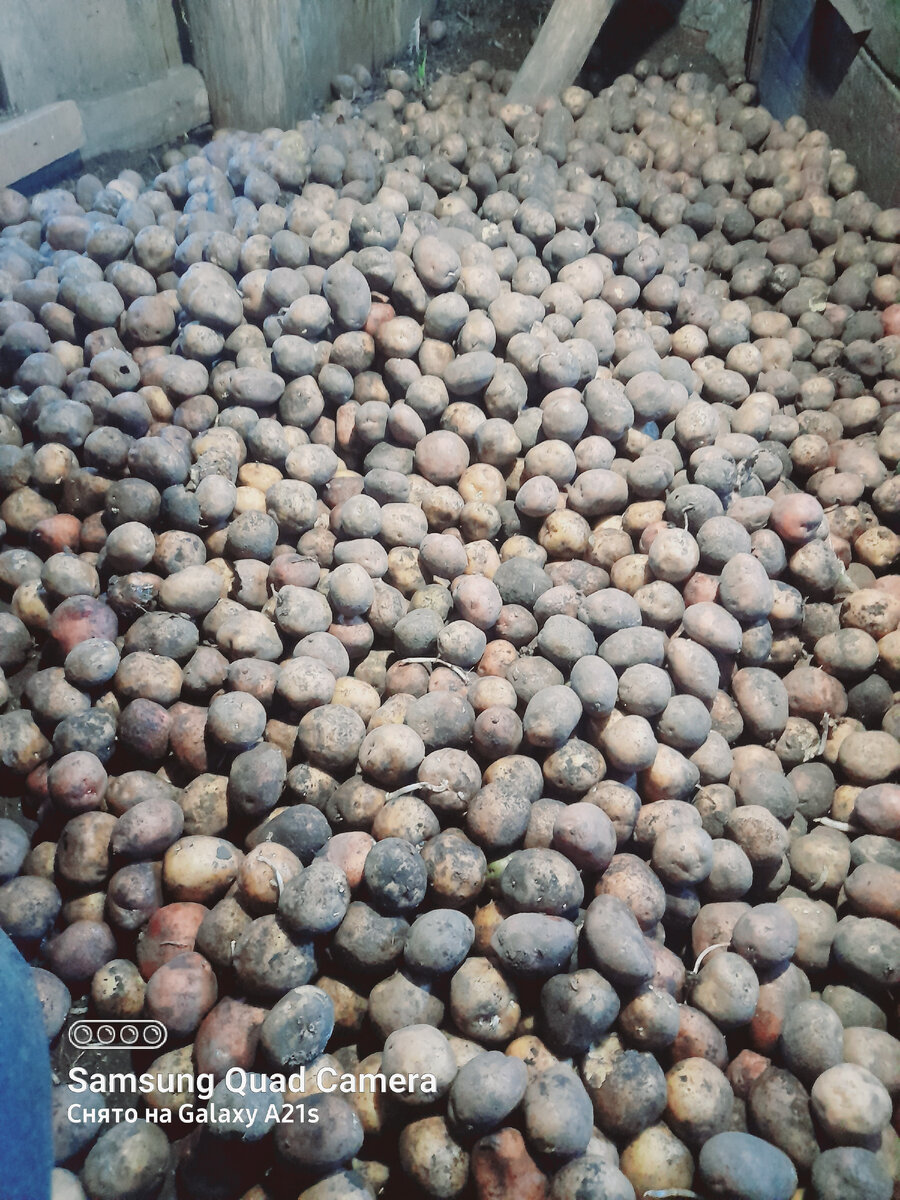 Выносим по 5-8 вёдер (12 л)