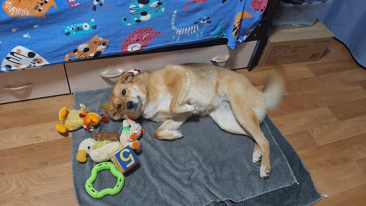 Юта у нас дома