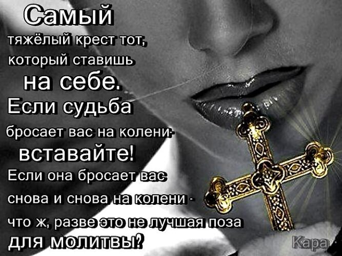 картинка из общего доступа 