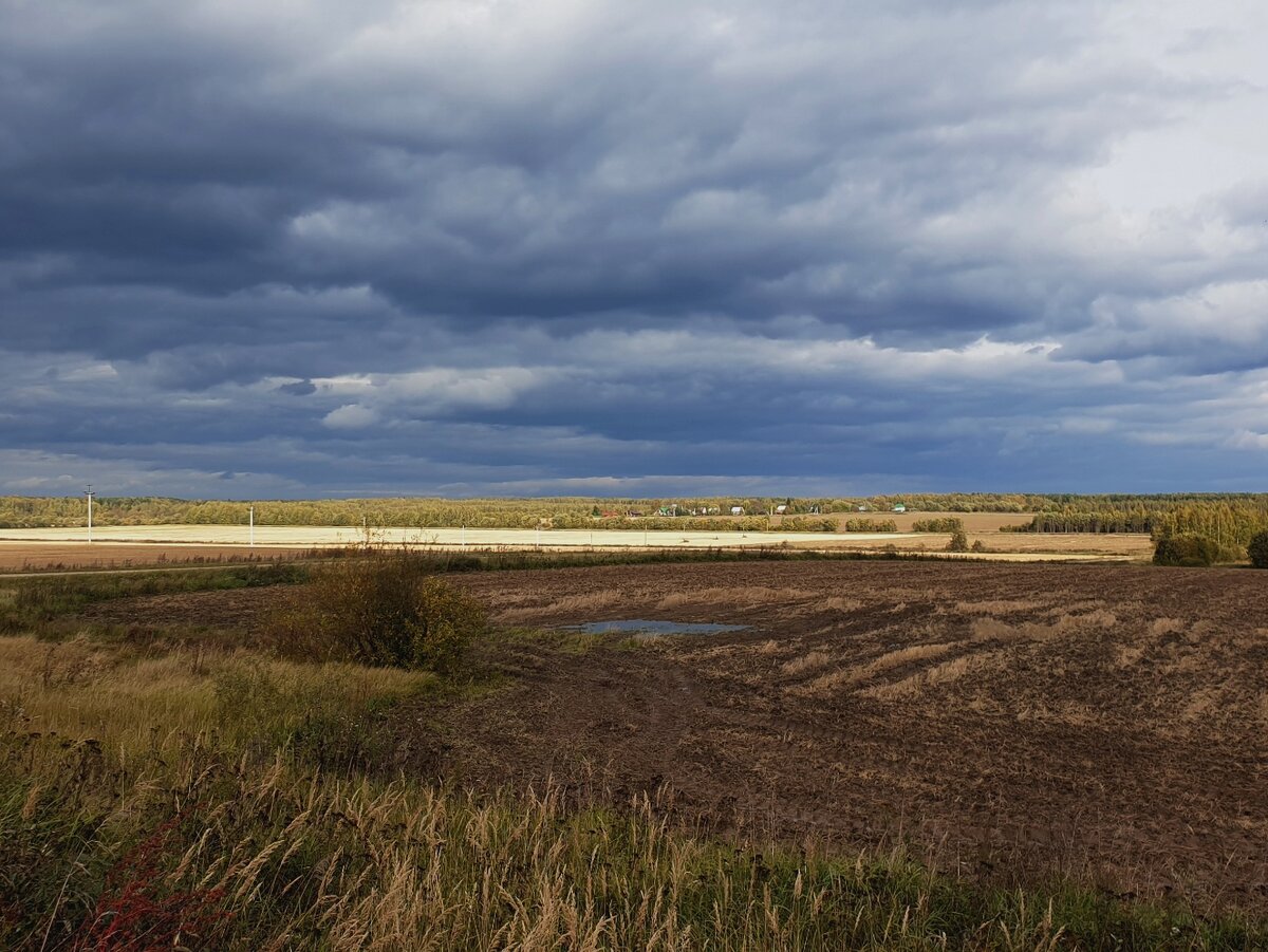 Красота.... Территория Государственного природного заказника регионального значения "Журавлиная Родина".