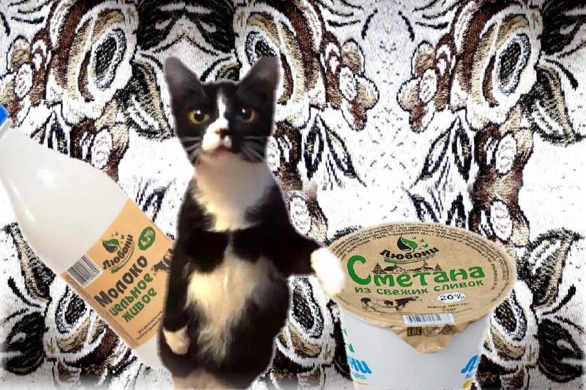 кот авторский...или автор котовский, а фото изумительных продуктов размещено с разрешения администрации "Любони" в г. Боровичи, Новгородской области. 