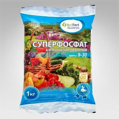 Фото: procvetok.by