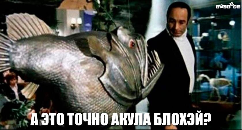 letidor.ru