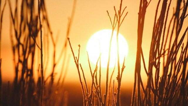 Фото: https://obj.altapress.ru/picture/337645/900x.jpg