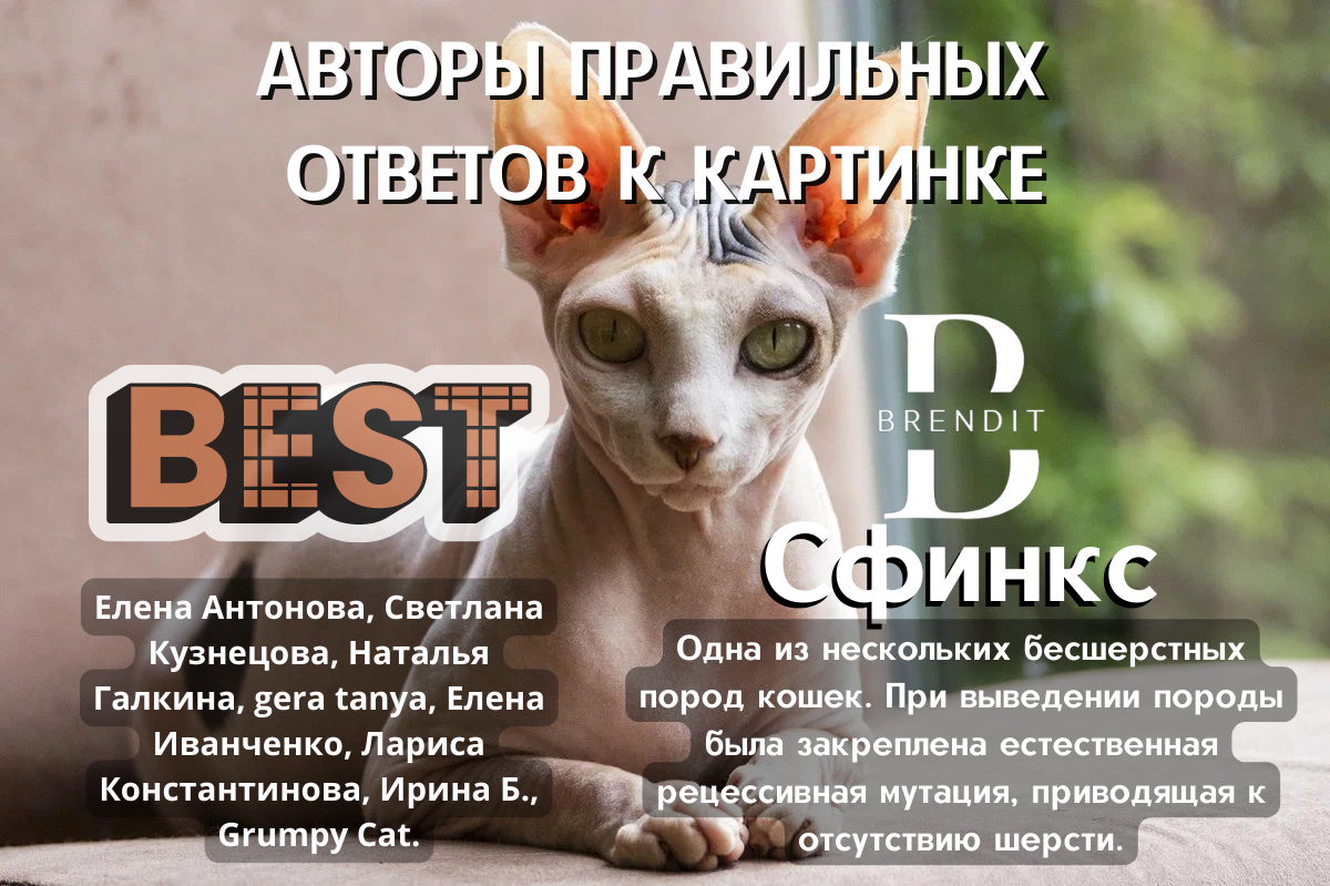 Напишите свои догадки к дополнительному заданию и попадите в следующий выпуск.