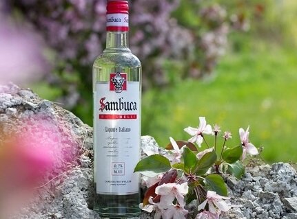 Самбука Мотичелли.