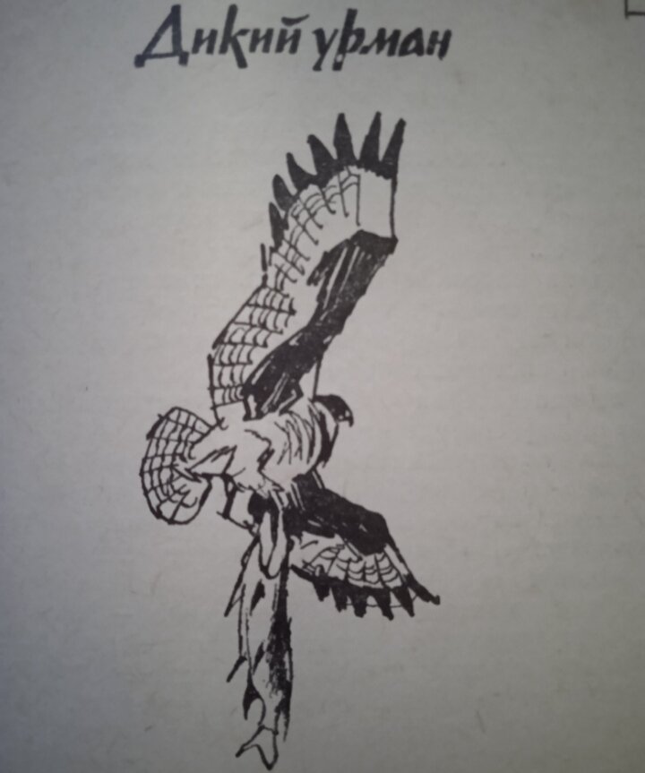 Оригинальные иллюстрации.