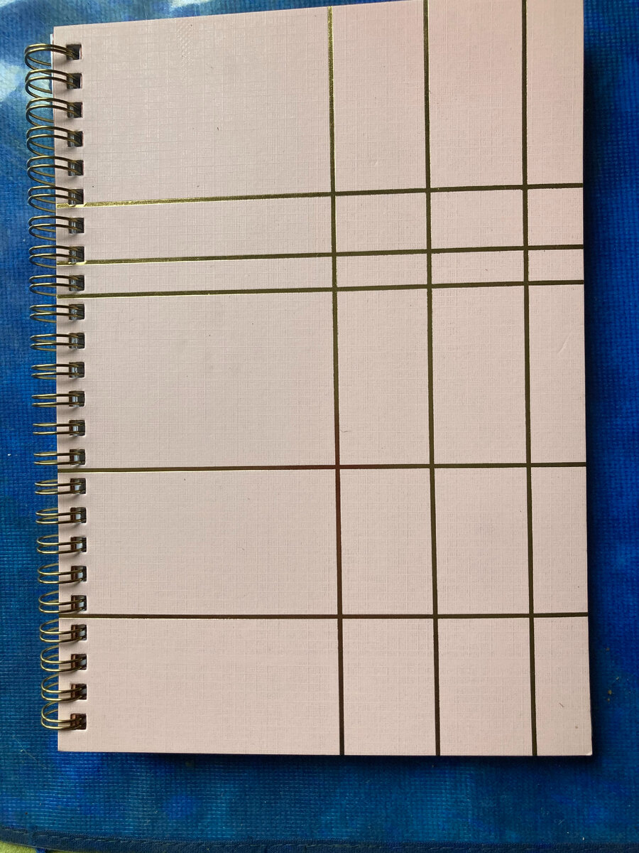 Вот на что первые заработанные деньги потрачены. Заработанные непосильным трудом... 