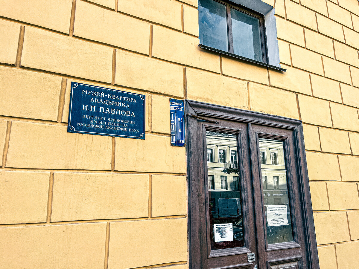 Академики санкт петербурга