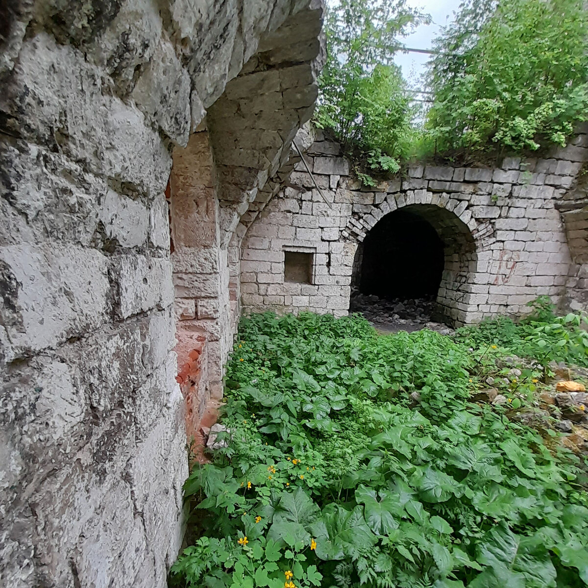 Обнажённый «старицкий мрамор». Руины Вознесенского монастыря в городском парке Старицы.