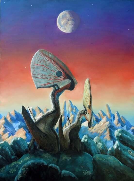 Как думаешь, до луны долетим?