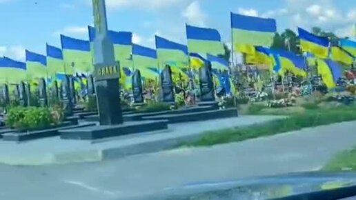 Кладбище украинских солдат с флагами фото картинки