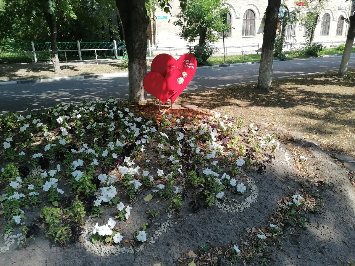 Фото автора канала 