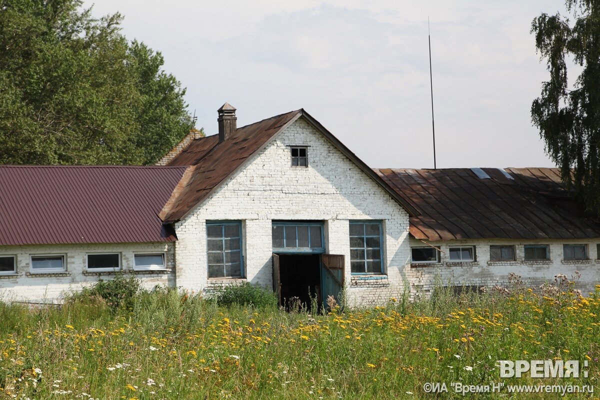 Нижегородский ипподром просп гагарина 234 фото