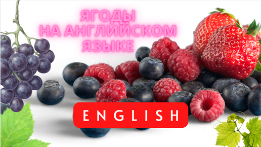 Wildberries ягода. Ягоды на английском языке. Ягоды на английском. Ягоды по-английски. Ягодки на бурятском языке.